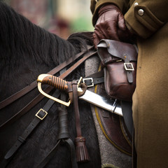 Close-up harness and saber at Polish cavalry. - obrazy, fototapety, plakaty