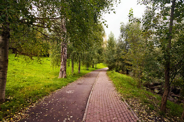 Path for people and cyclists in the Park