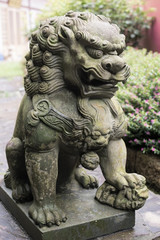 Fototapeta na wymiar Bronze lion statue