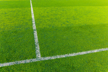 Fototapeta premium Green turf for sport arena
