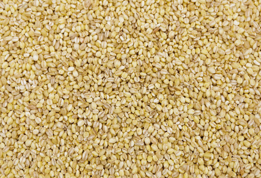 Heap of coixseed