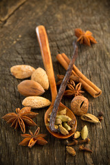 Mix of spices in wooden spoon.