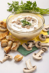domestic mushroom soup with cream and toasted bread