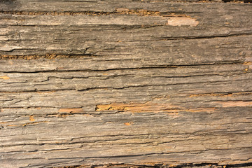 Old wooden texture