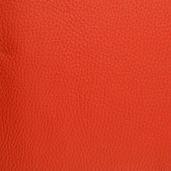 Fototapeta premium Red leather