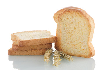 Golden brown toast