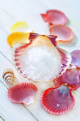 sea salt and shells