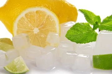 Foto op Plexiglas Close-up schijfje citroen, munt en ijs © laboko