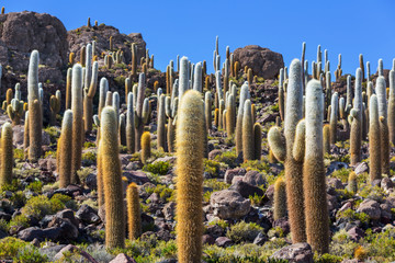 Salar de Uyuni