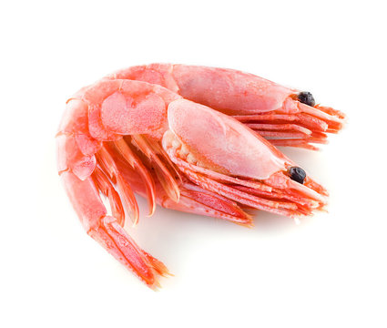 Boiled shrimp isolated on white background