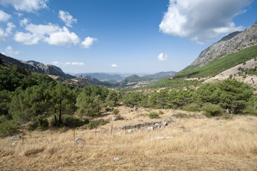 Grazalema Natural Park, Cadiz, Andalusia, Spain