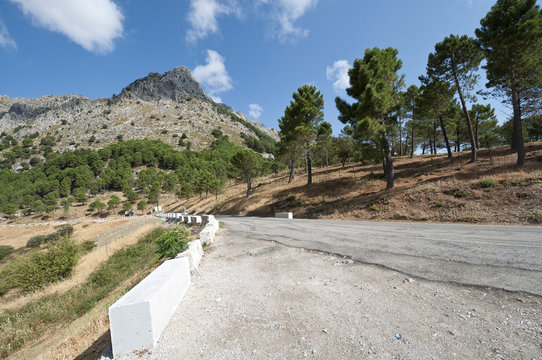 Grazalema Natural Park, Cadiz, Andalusia, Spain
