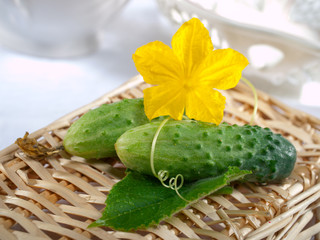 Fresh cucumber