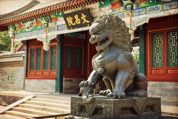 Foto op Canvas Beijing, Chinese Lion © lapas77