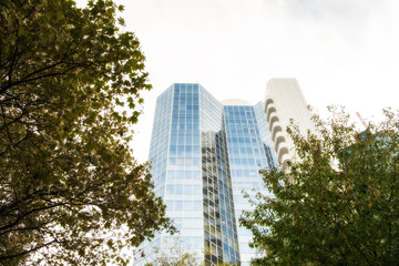 Modern buildings and skyline of Frankfurt from a beautiful park