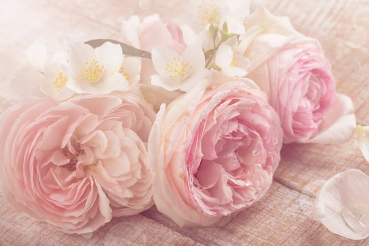 Fototapeta Postcard with fresh roses and jasmine