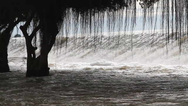 Flood, Water flow over road, tree line background.