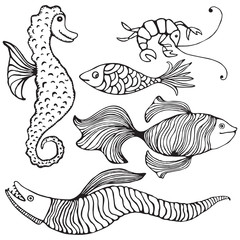 Collection of 5 hand drawn fishes