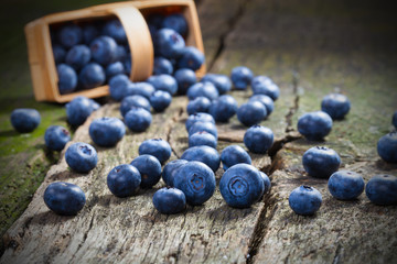 Frische Blaubeeren auf altem Holz