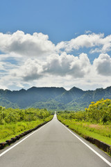 Rural landscape with road