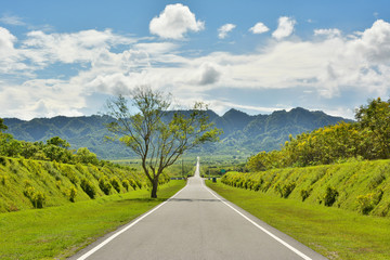 Rural landscape with road