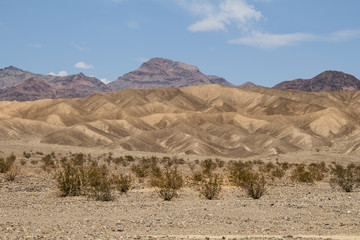 Fototapeta na wymiar desert and red rocks