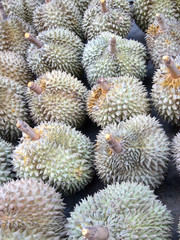 Naklejka na ściany i meble Durian, king of fruit, famous fruit in Thailand