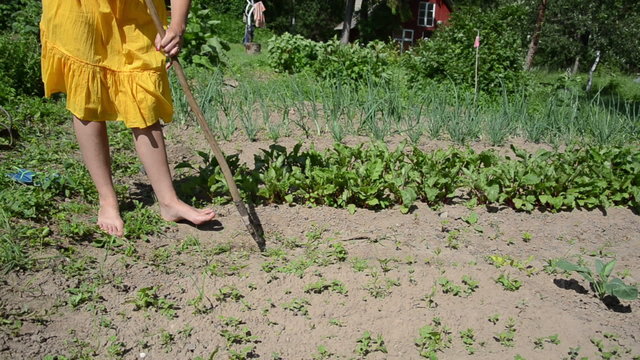 Barefoot woman in yellow dress grub weeds with hoe in garden