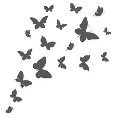 butterflies design