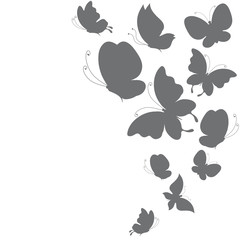butterflies design