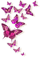 butterflies design