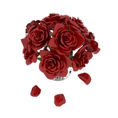 Beautiful red rose isolated on white