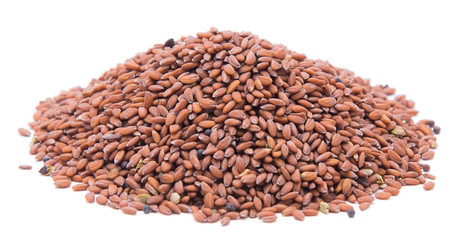 Cress Seed