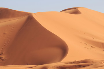 deserto sahara