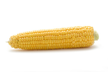 An ear of corn isolated on a white background
