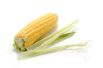 An ear of corn isolated on a white background