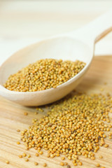 mustard seeds close-up