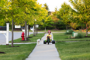 Walking the Dog with Tricycle in the Neighborhood - 58403823