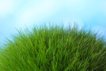 Fototapeta premium Beautiful green grass on blue background