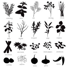 Vector Set of Herbs and Spices - obrazy, fototapety, plakaty