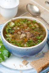 bowl of mushroom soup with pearl barley on a tray, close-up
