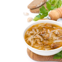 bowl of traditional Russian cabbage soup