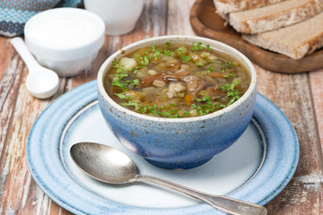 Mushroom soup with pearl barley in a bowl