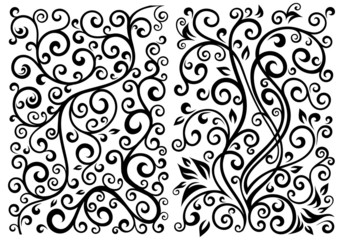 Set of two vector floral illustrations.