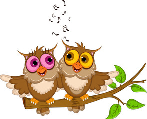 cute couple owl cartoon singing