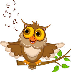 Fototapeta premium owl cartoon singing