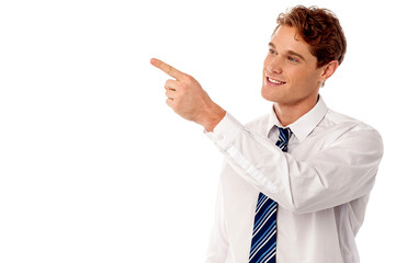 Businessman pointing at something