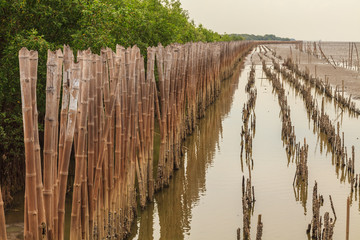 Bamboo dam