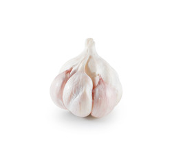 Head of garlic isolated on white background with shadow