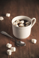 Hot cocoa with marshmallows